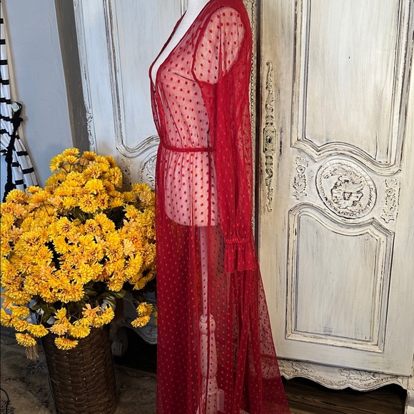 Intimately Free  People Red Sheer Polka DotLong Sleeve  Maxi Dress - Picture 7 of 11